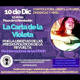 La carta de la Violeta por la libertad de los presos políticos de la revuelta