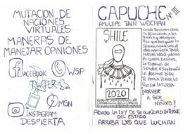 Capuche Nº3