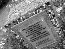 Plaza Alejandro Parada G. y Horacio Cepeda M.