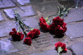Claveles rojos en placa conmemorativa de Nelsa Gadea