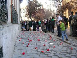 Claveles rojos en adoquines conmemorativos de Londres 38